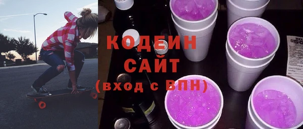 шишки Слюдянка