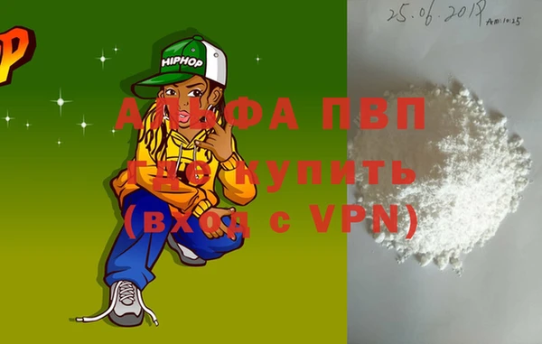 шишки Слюдянка