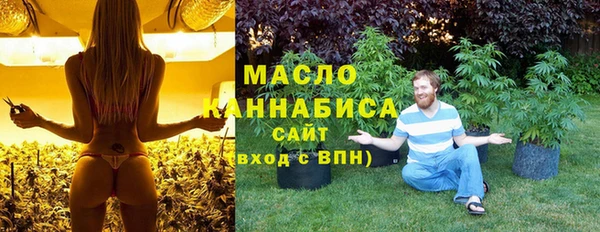 шишки Арсеньев