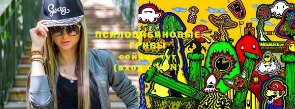 шишки Арсеньев