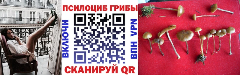 Галлюциногенные грибы мухоморы  Шуя 
